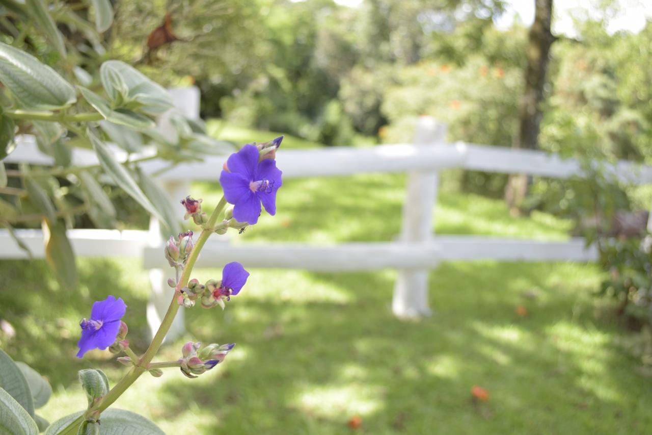 Hotel Fazenda Fonte Colina Verde Sao Pedro  Kültér fotó
